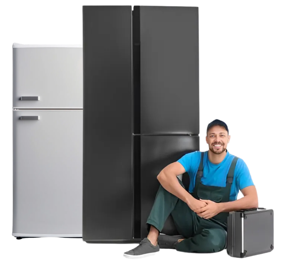 Professional Fridge Repair Service